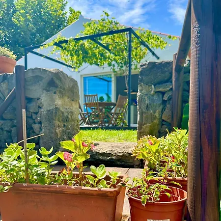 Сasa de vacaciones Time To Travel To Terceira Pesqueiro